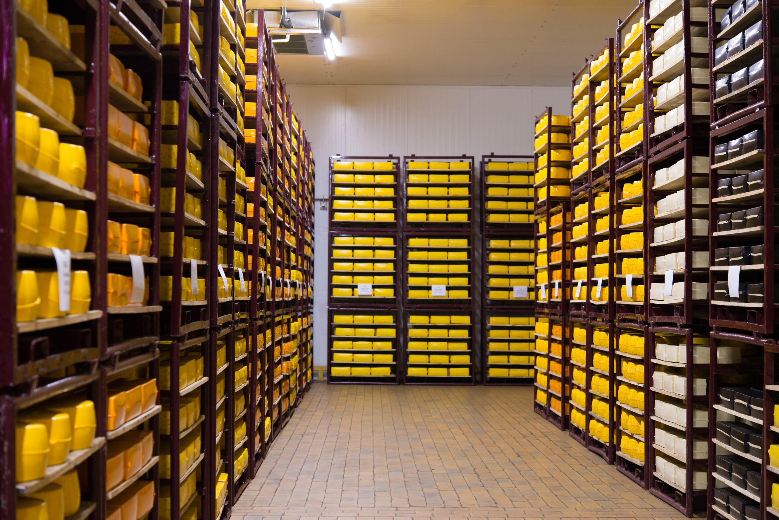 shelves with cheese at a cheese warehouse rows of 2025 01 08 06 22 24 utc scaled